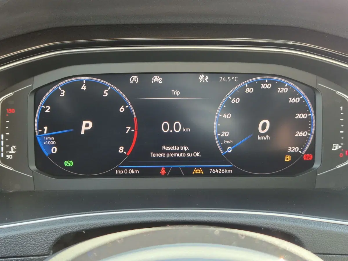 Volkswagen T-Roc usata  (13)