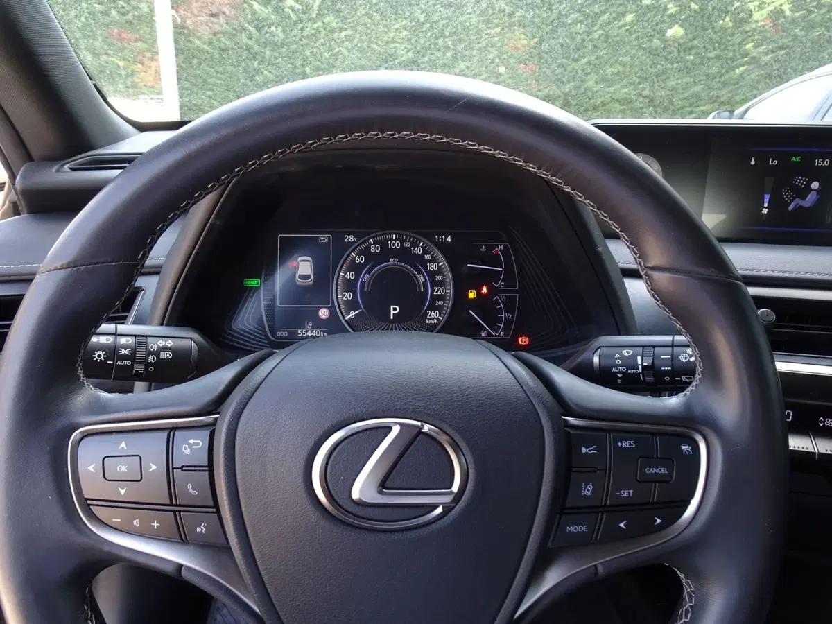 Lexus UX usata a Venezia (13)