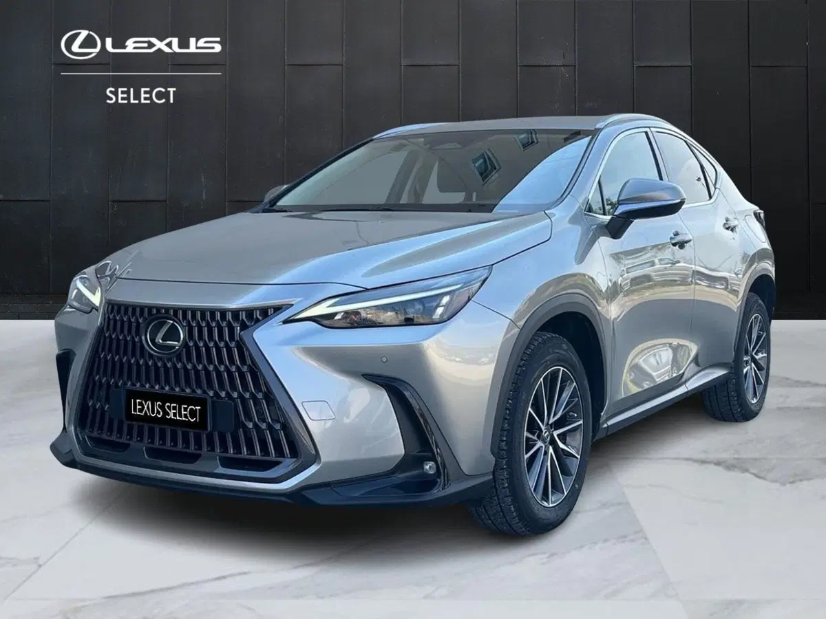 Lexus NX usata a Siracusa