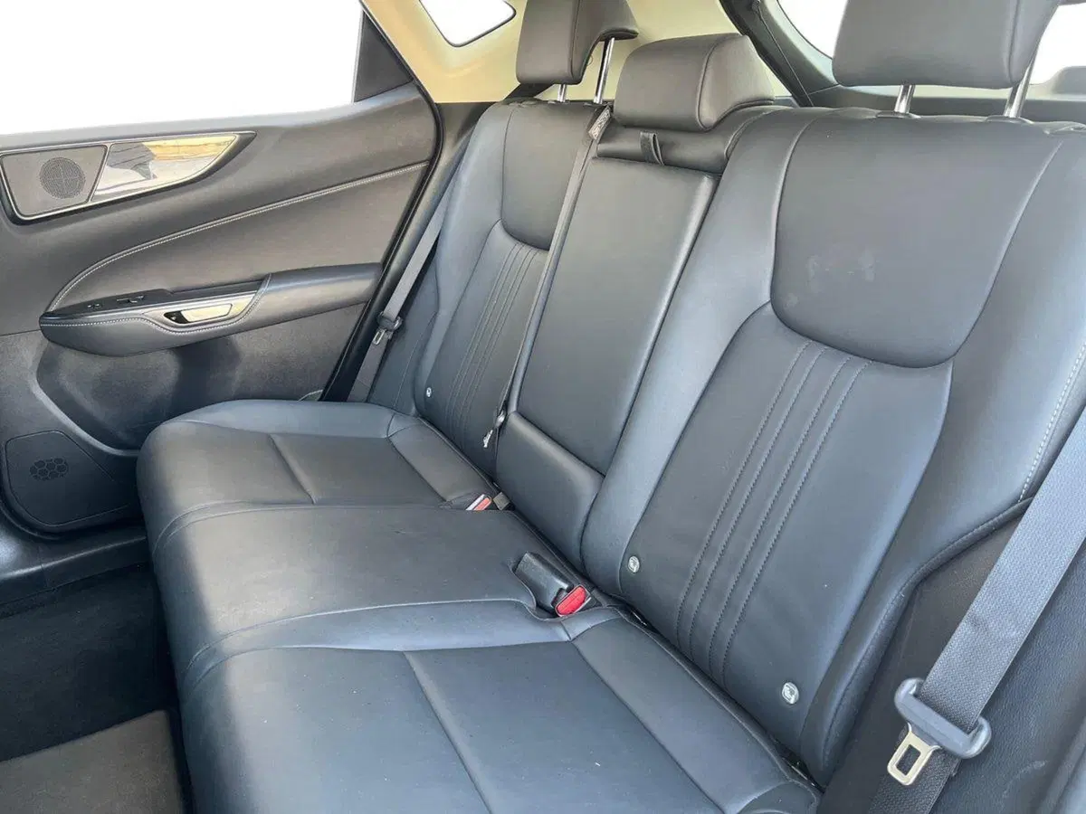 Lexus NX usata a Siracusa (11)