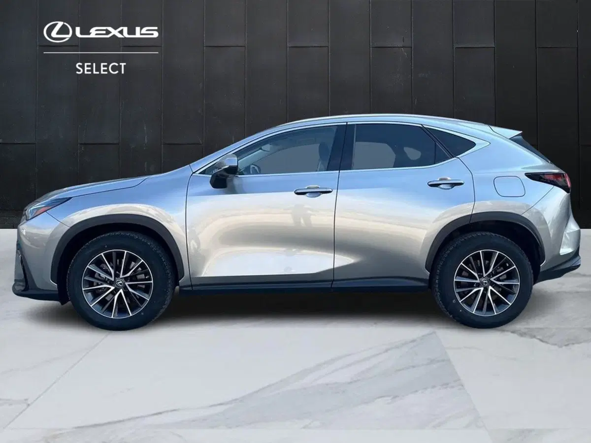 Lexus NX usata a Siracusa (3)