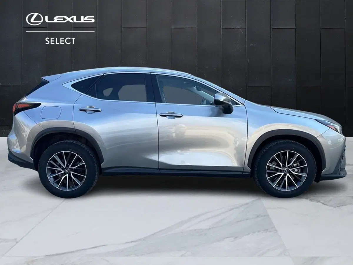 Lexus NX usata a Siracusa (4)