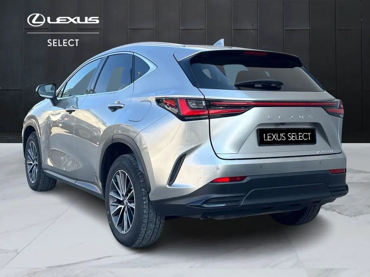 Lexus NX usata a Siracusa (5)