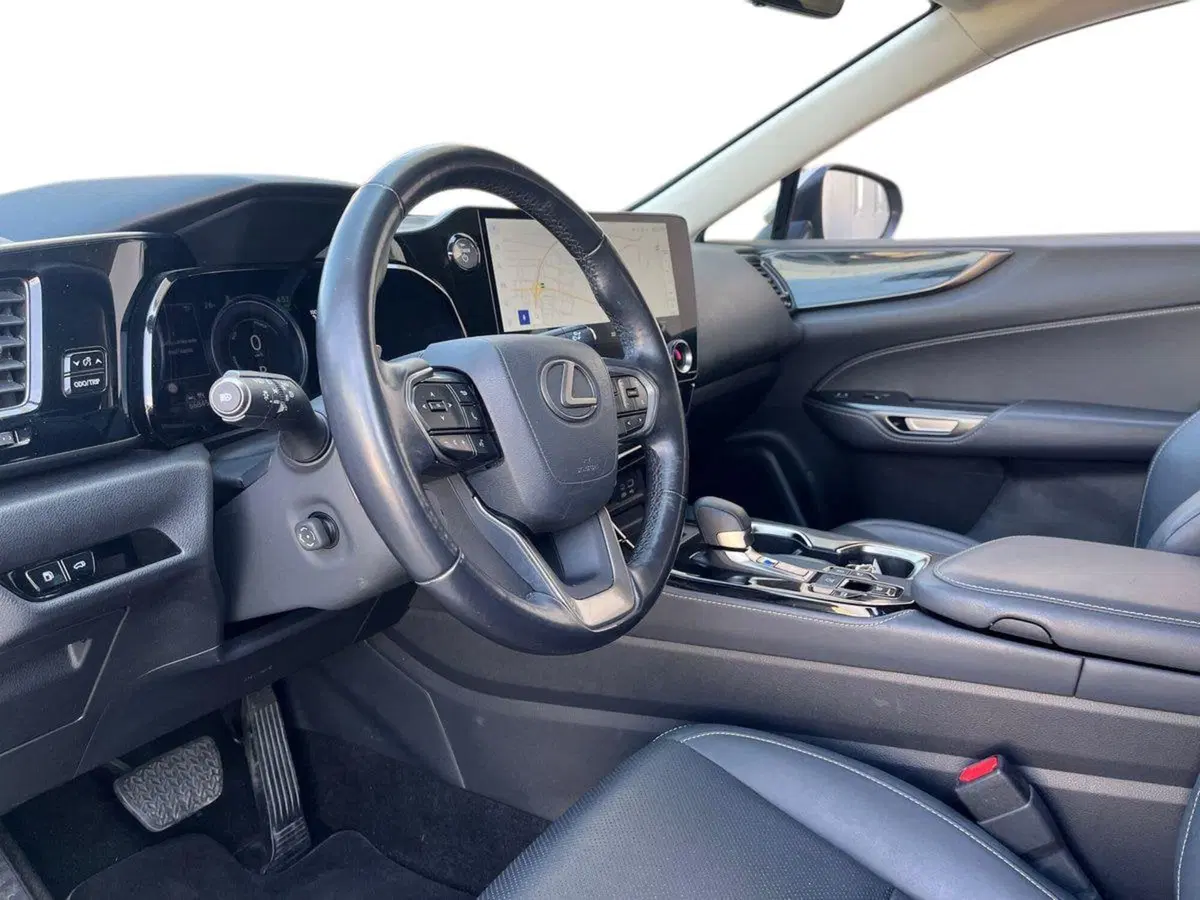 Lexus NX usata a Siracusa (7)