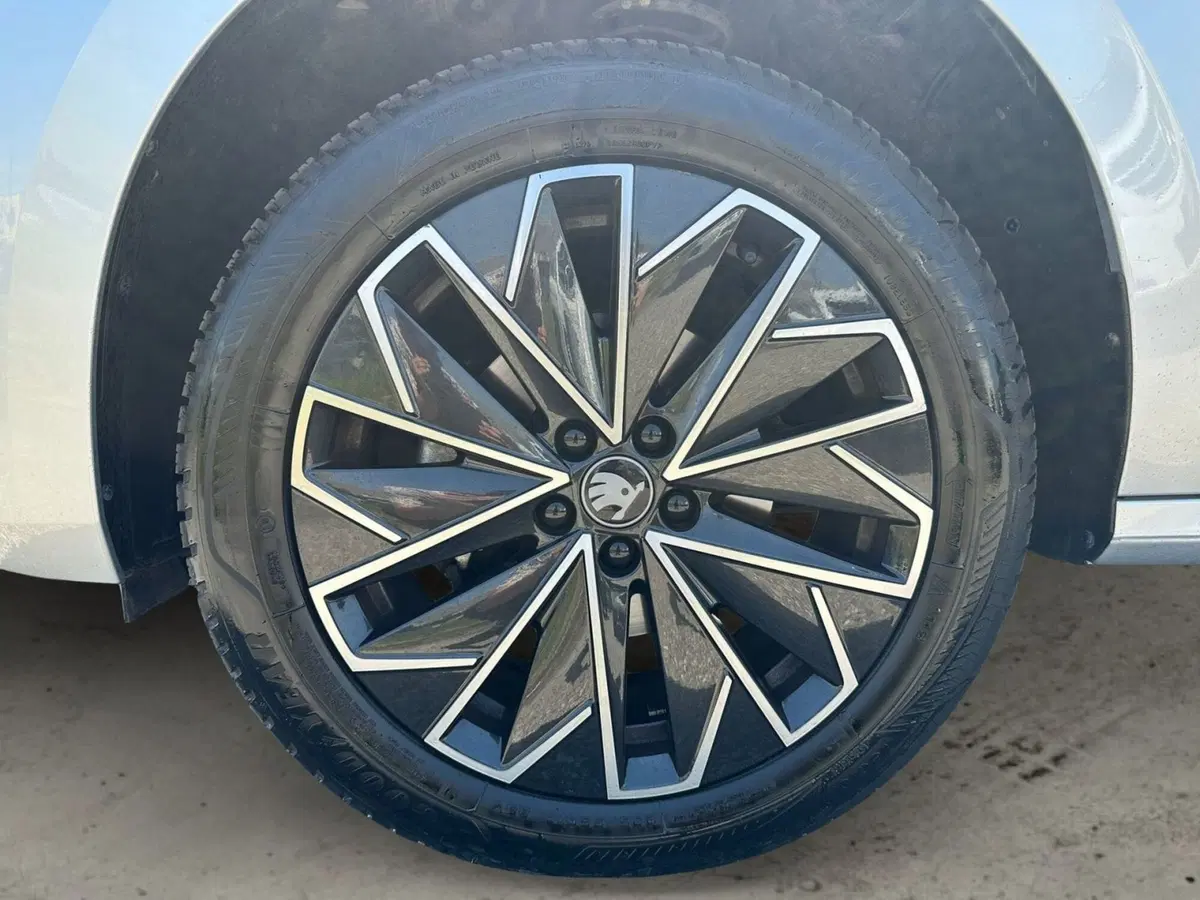 Skoda Kamiq usata a Pistoia (14)