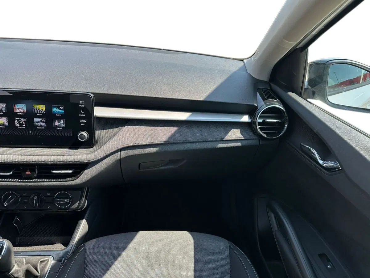 Skoda Fabia usata a Pistoia (12)
