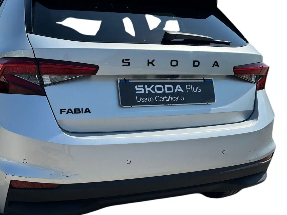 Skoda Fabia usata a Pistoia (13)