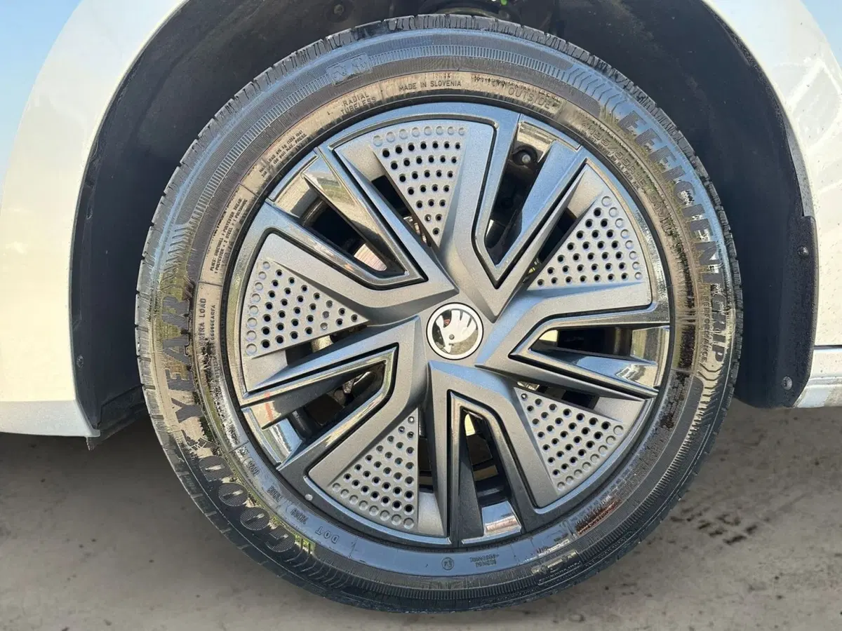 Skoda Fabia usata a Pistoia (15)