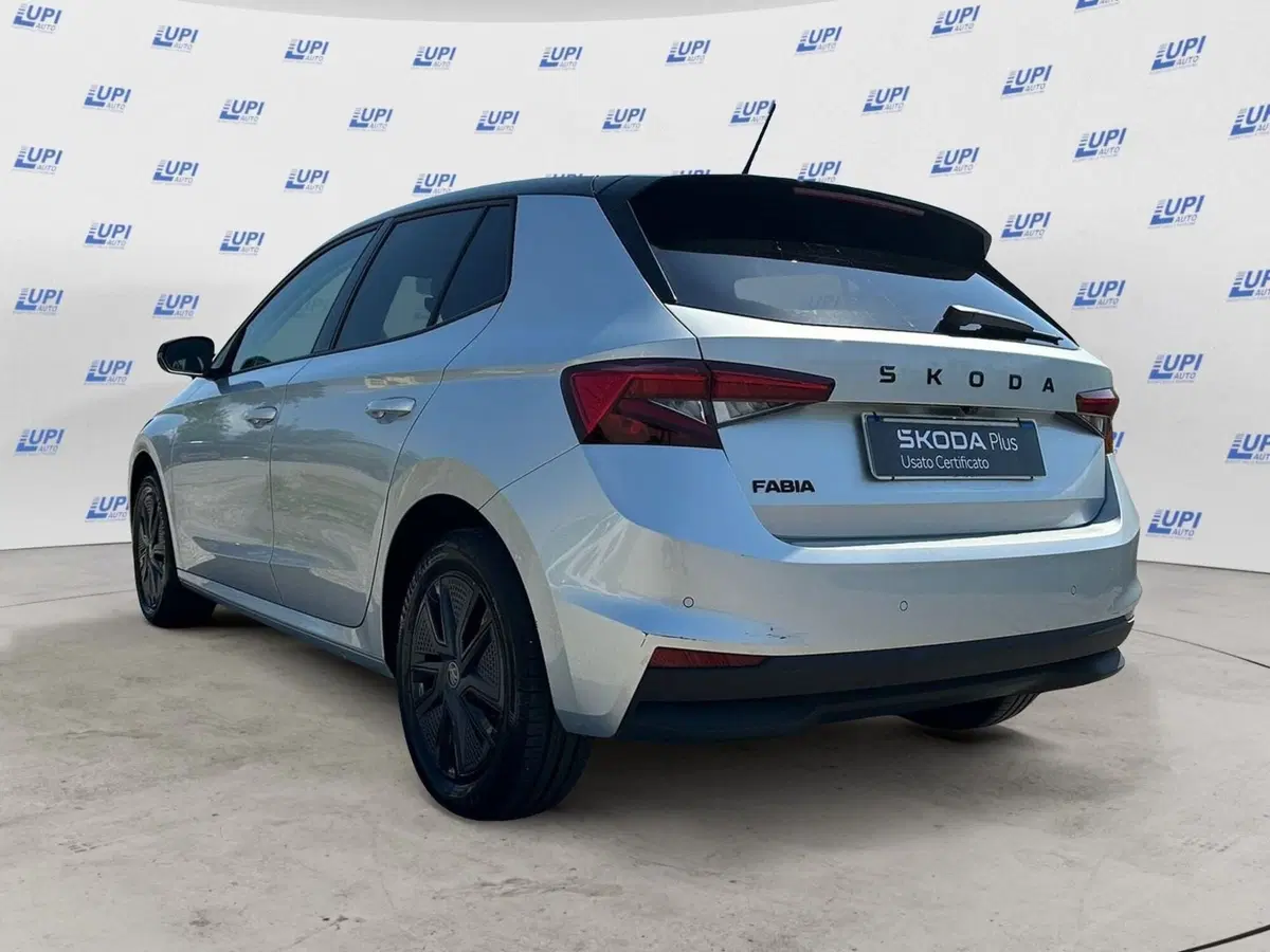 Skoda Fabia usata a Pistoia (5)