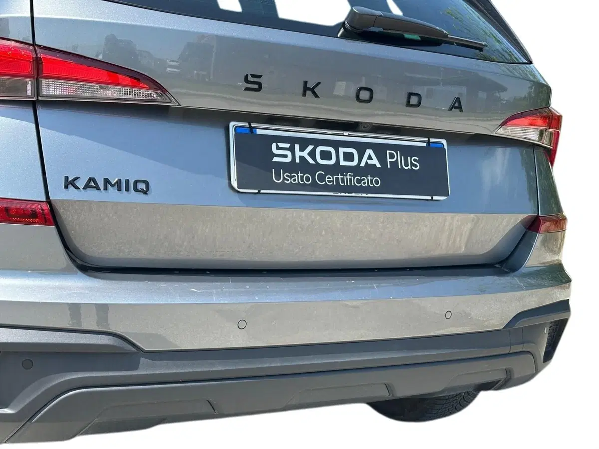 Skoda Kamiq usata a Pistoia (14)