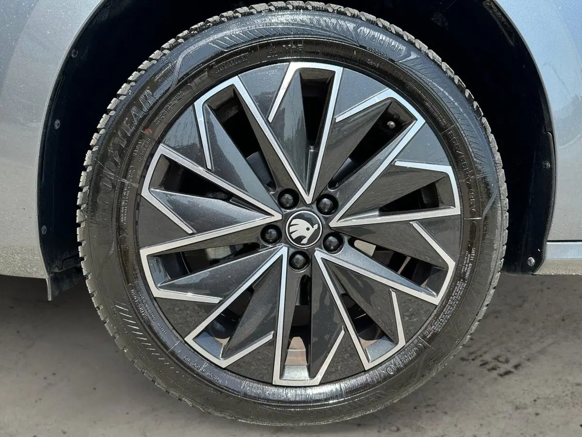 Skoda Kamiq usata a Pistoia (15)
