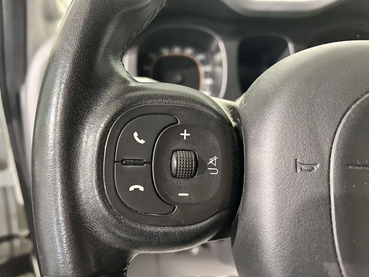 Fiat Panda usata a Milano (15)
