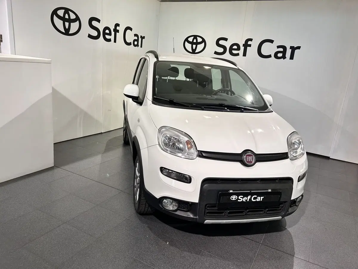 Fiat Panda usata a Milano (3)