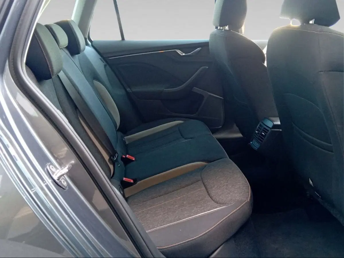 Skoda Kamiq usata a Firenze (15)