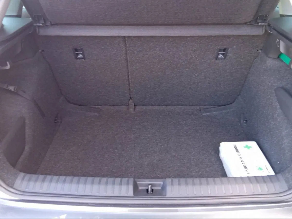Skoda Kamiq usata a Firenze (16)