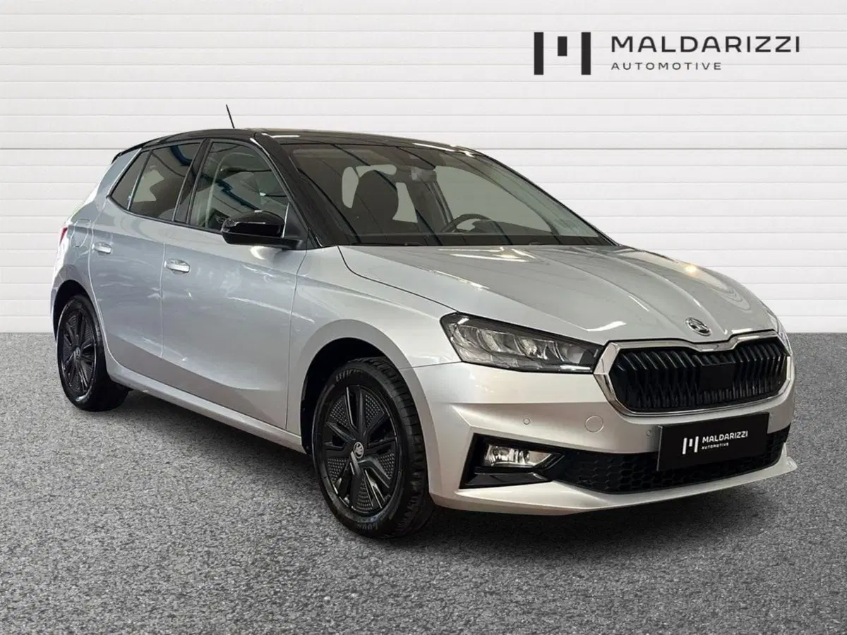 Skoda Fabia usata a Bari