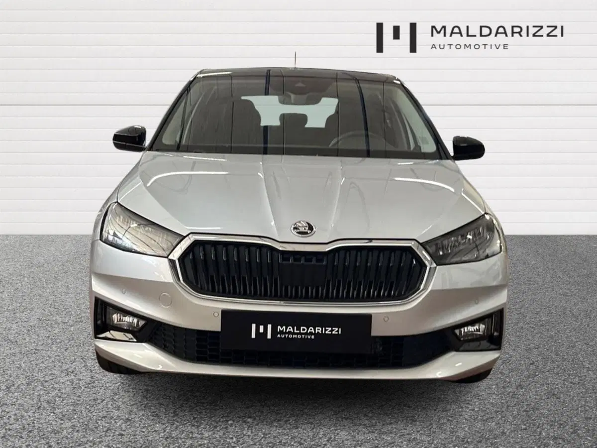 Skoda Fabia usata a Bari (2)
