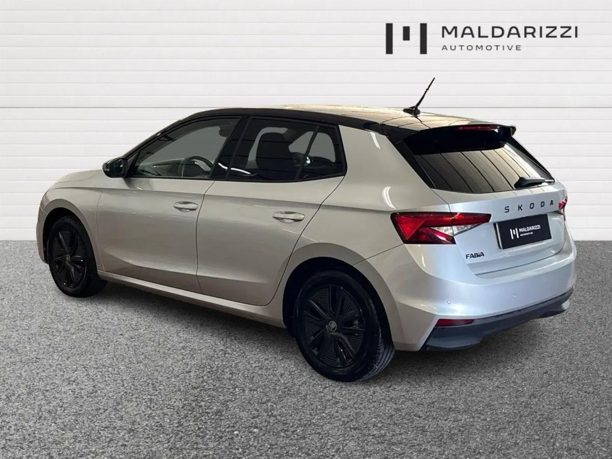 Skoda Fabia usata a Bari (4)