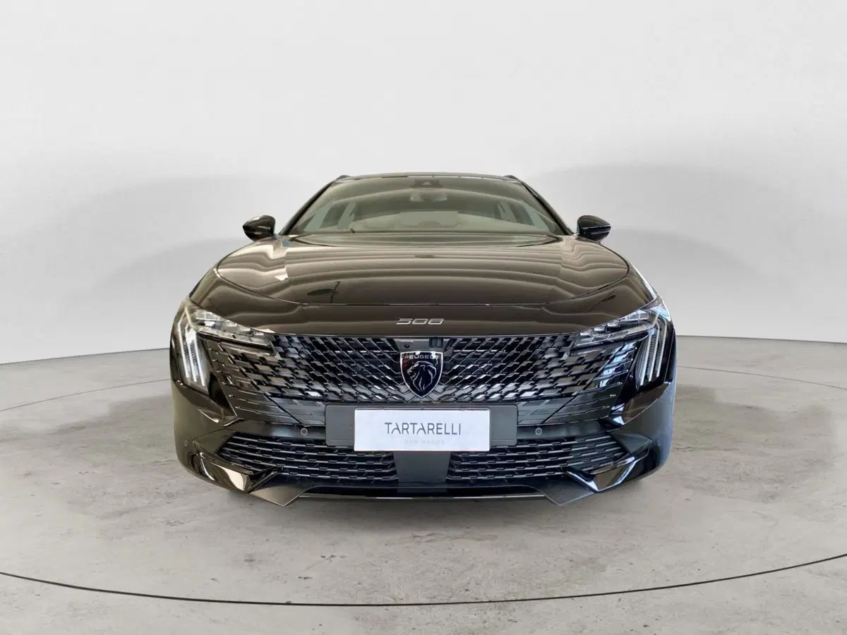 Peugeot 508 SW usata a Bari (2)