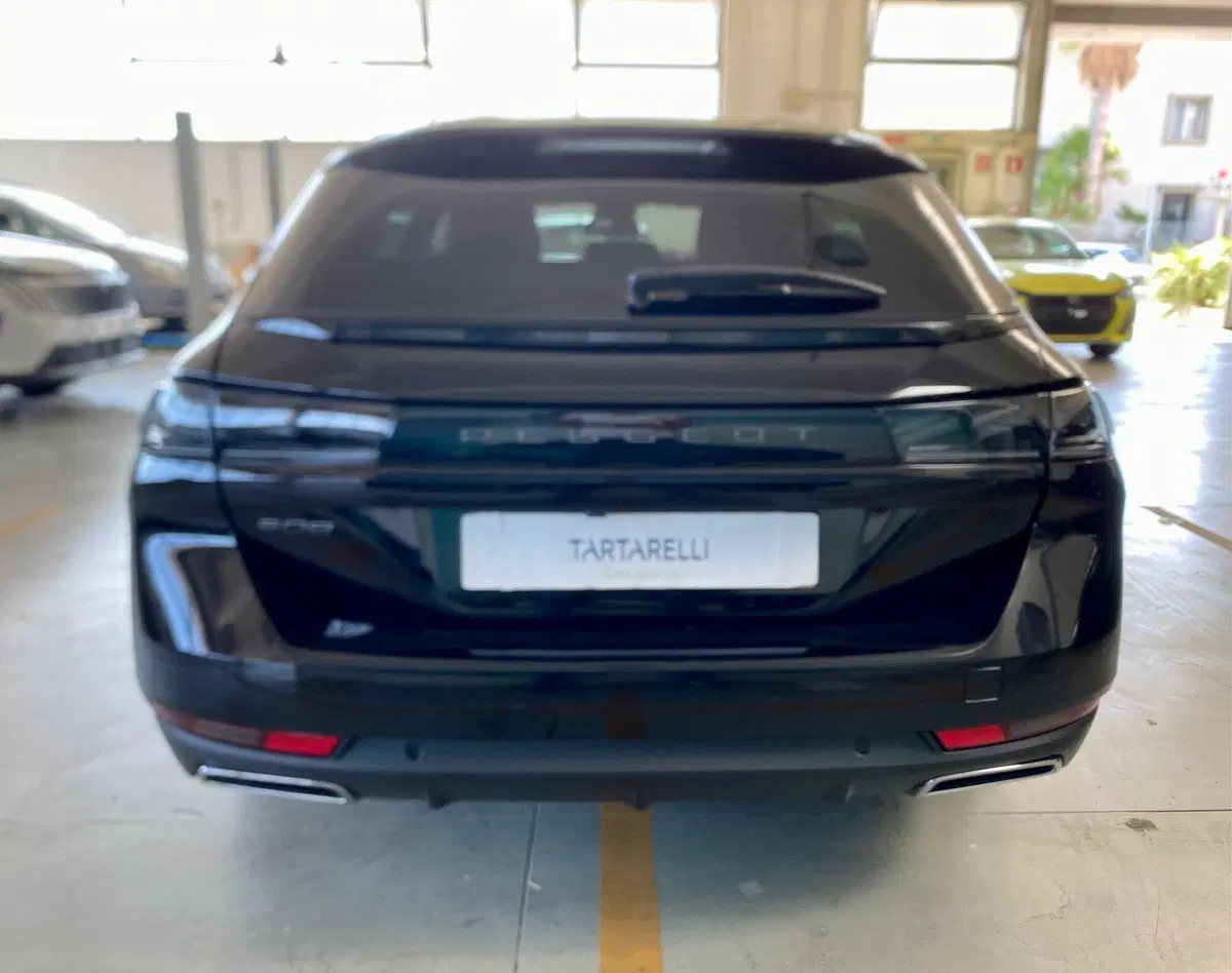 Peugeot 508 SW usata a Bari (6)