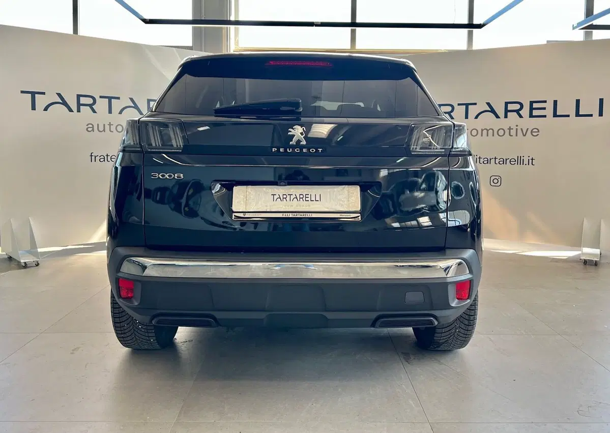 Peugeot 3008 usata a Bari (7)