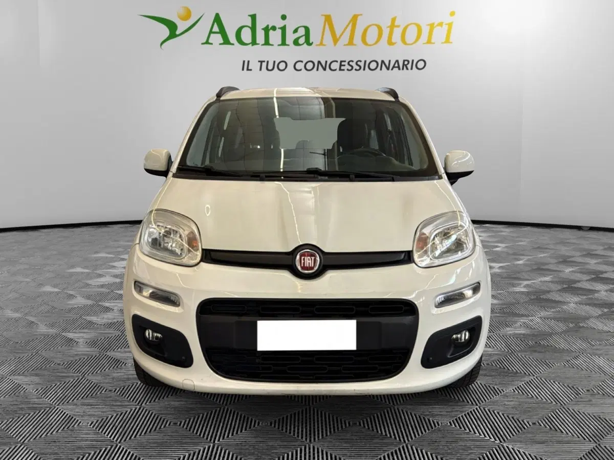 Fiat Panda usata a Pordenone (8)