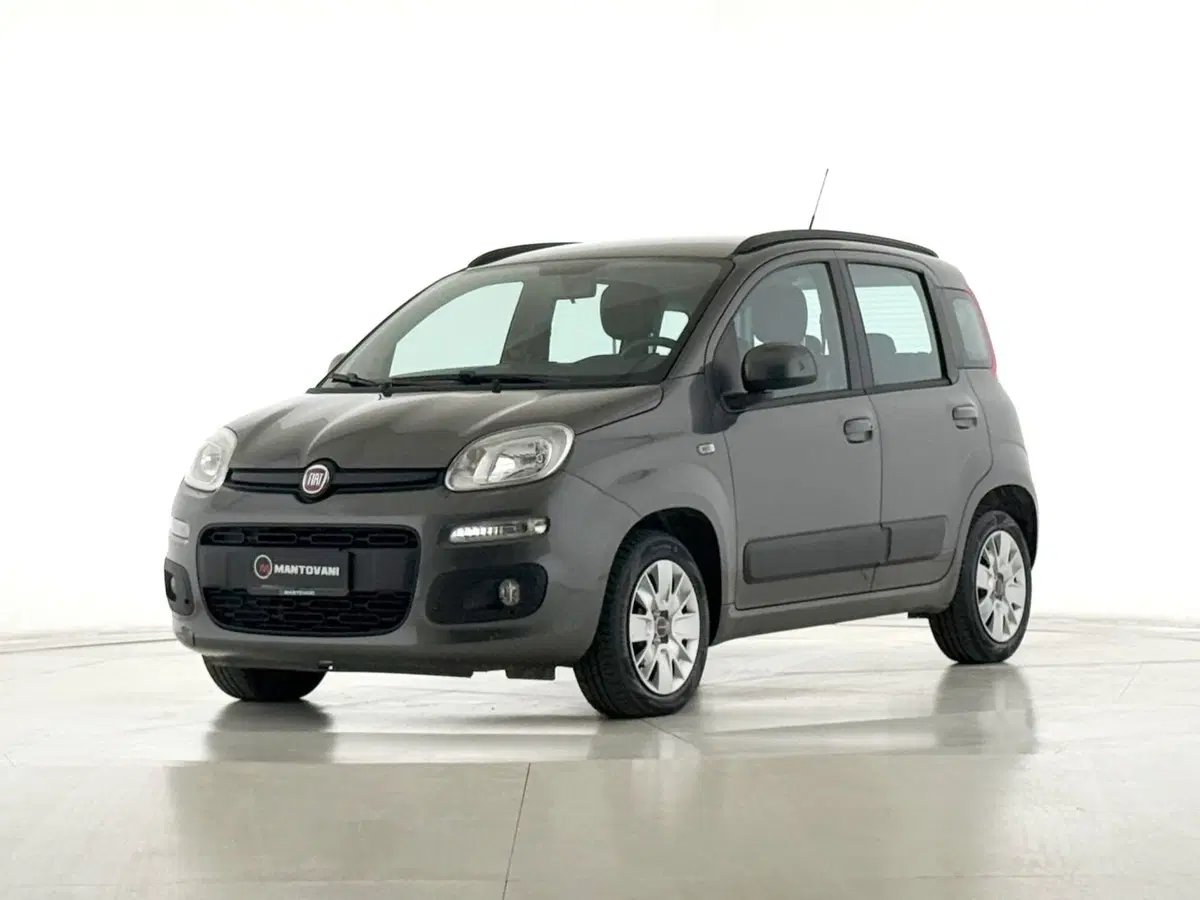 Fiat Panda usata a Perugia