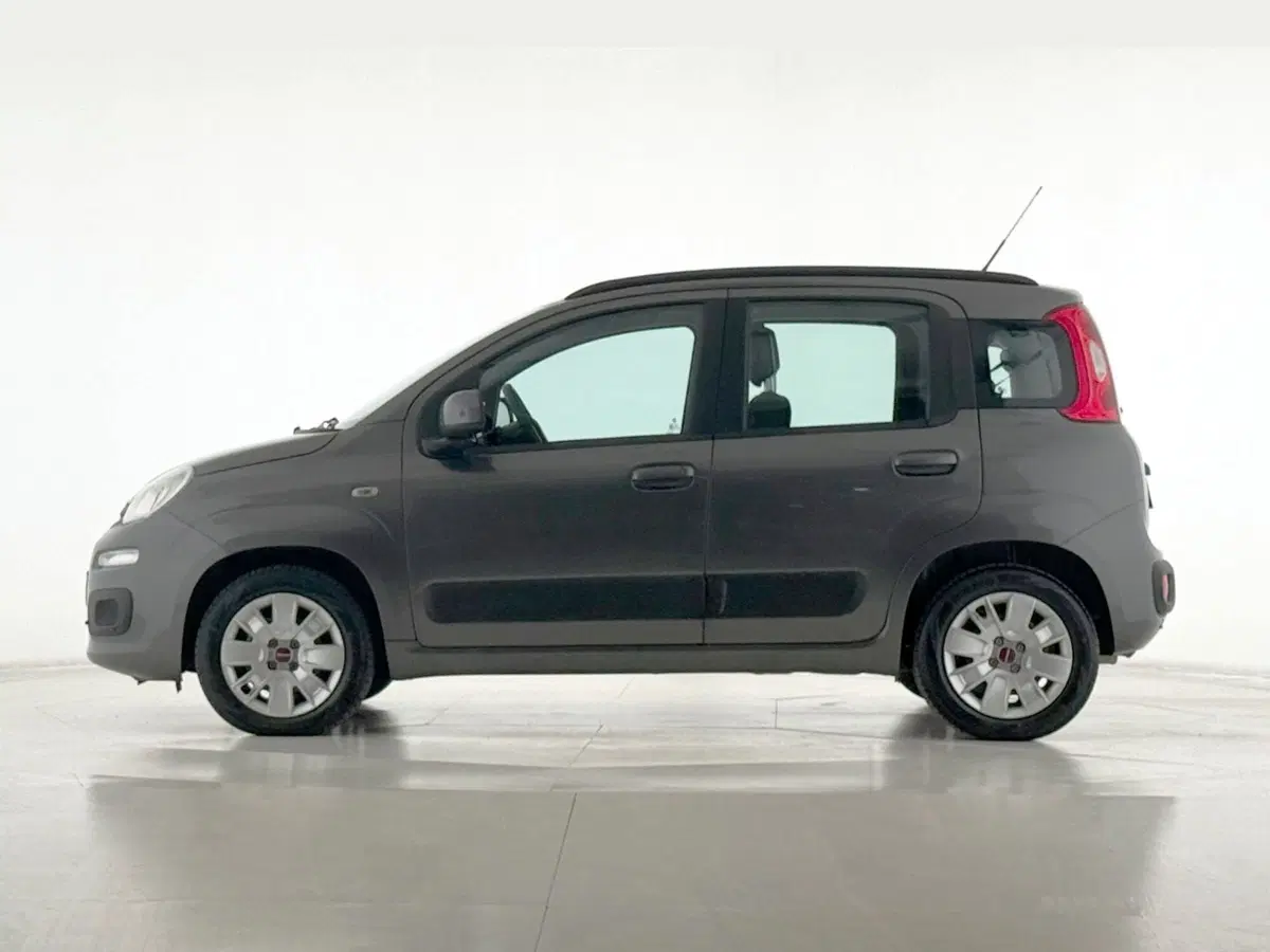 Fiat Panda usata a Perugia (2)
