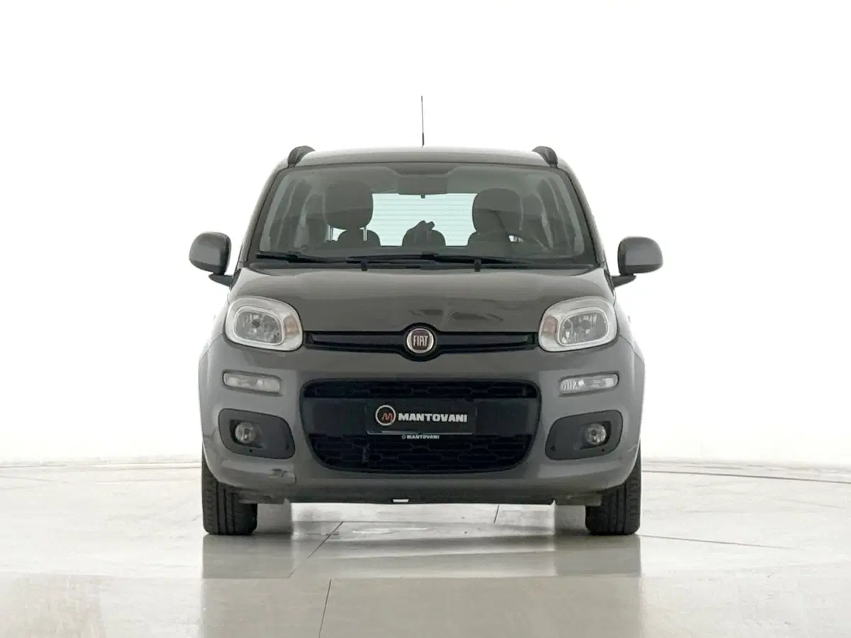 Fiat Panda usata a Perugia (8)
