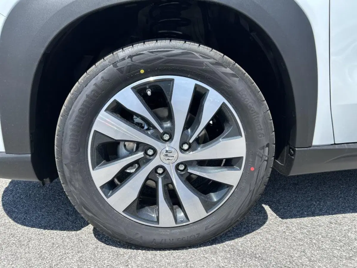 Suzuki S-Cross nuova a Cuneo (6)