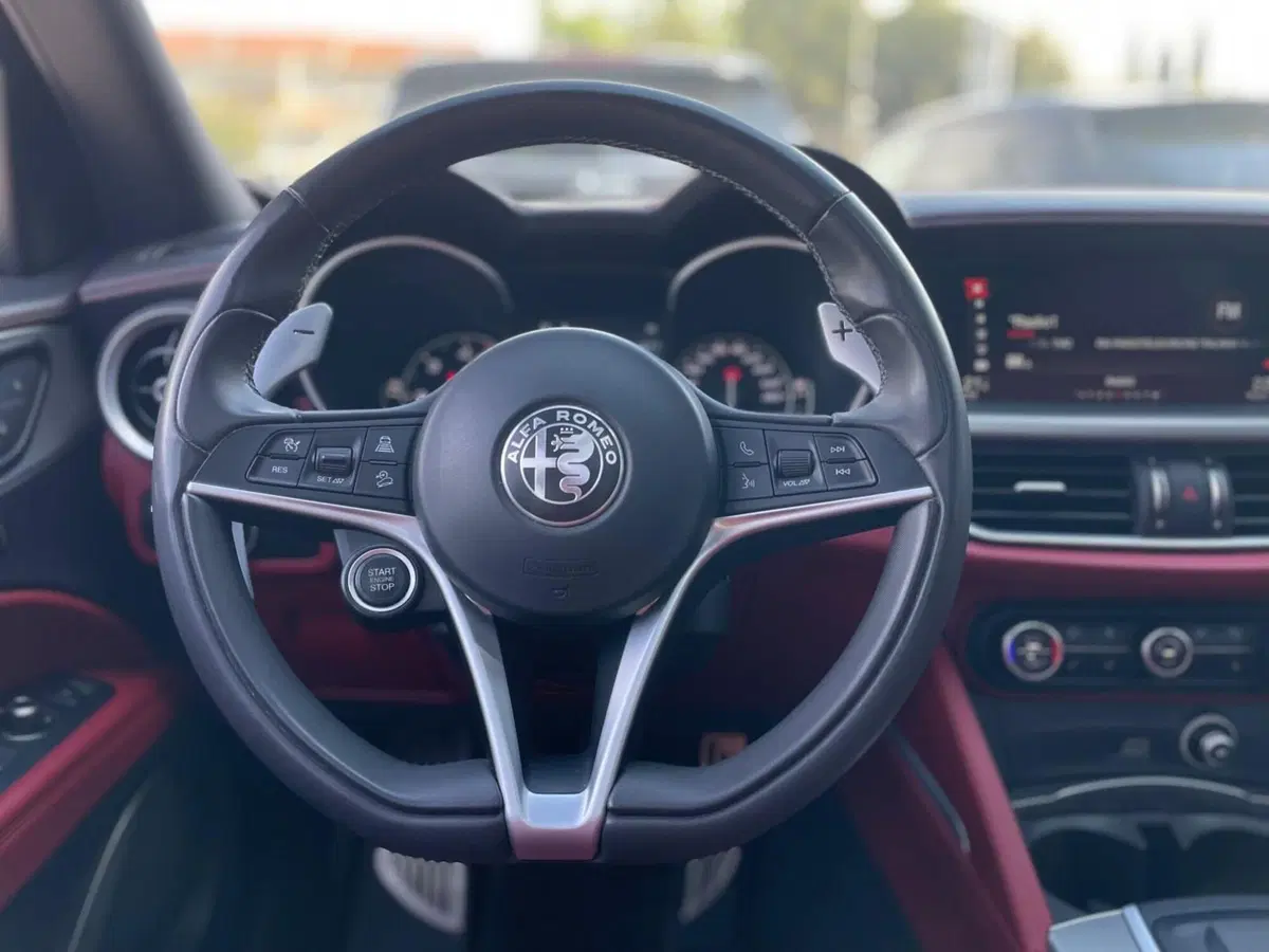 Alfa Romeo Stelvio usata a Ancona (12)