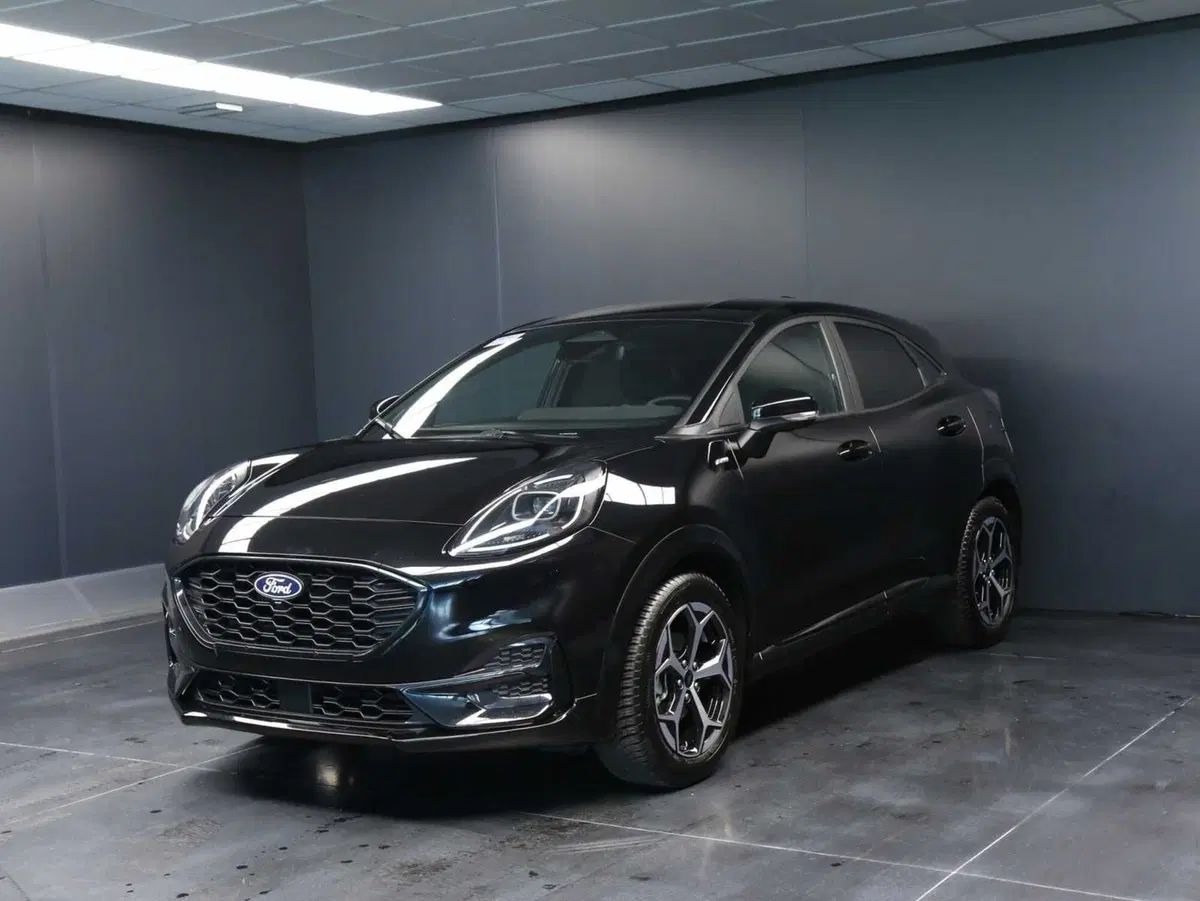 Ford Puma usata a Venezia
