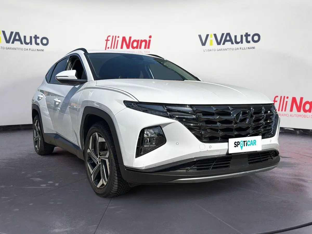 Hyundai Tucson usata a Massa-Carrara (19)