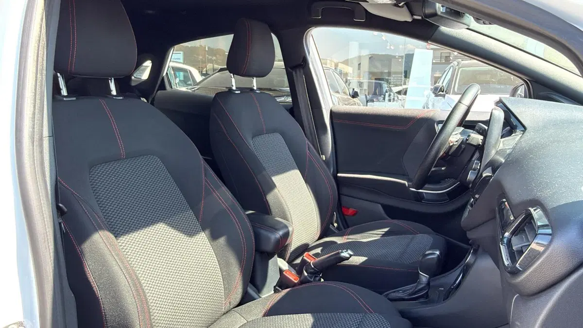 Ford Puma usata a Massa-Carrara (5)
