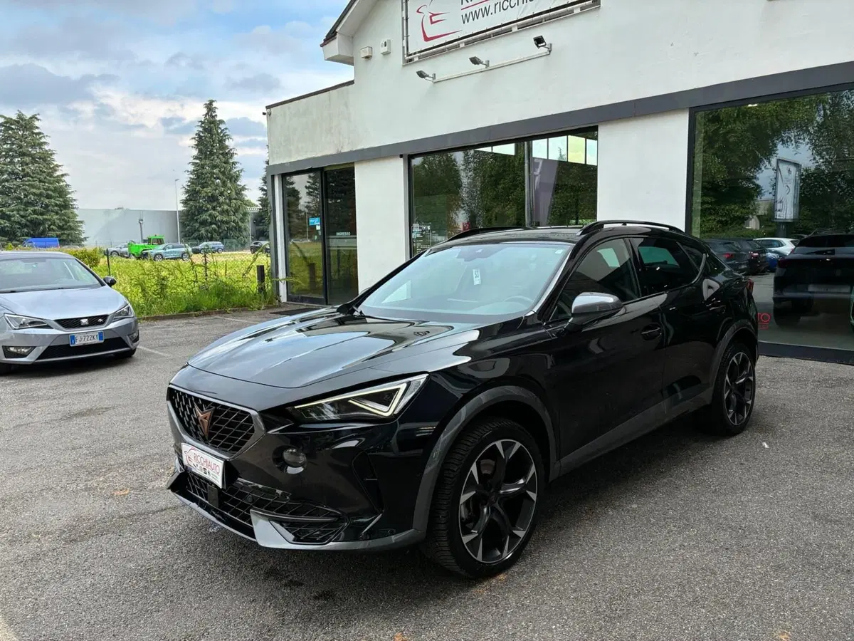 Cupra Formentor usata a Monza e Brianza (2)