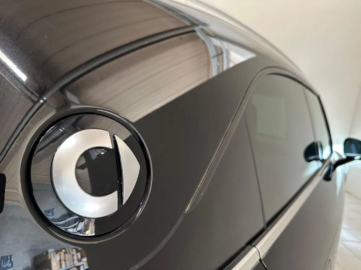 smart #1 usata a Verbano Cusio Ossola (19)