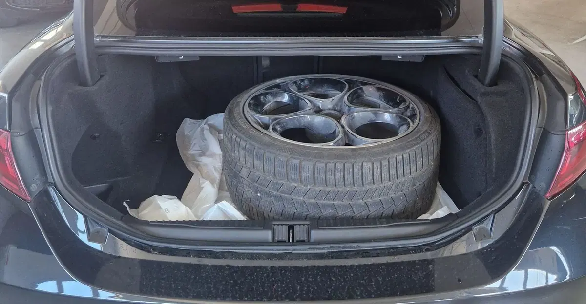 Alfa Romeo Giulia usata a Terni (10)