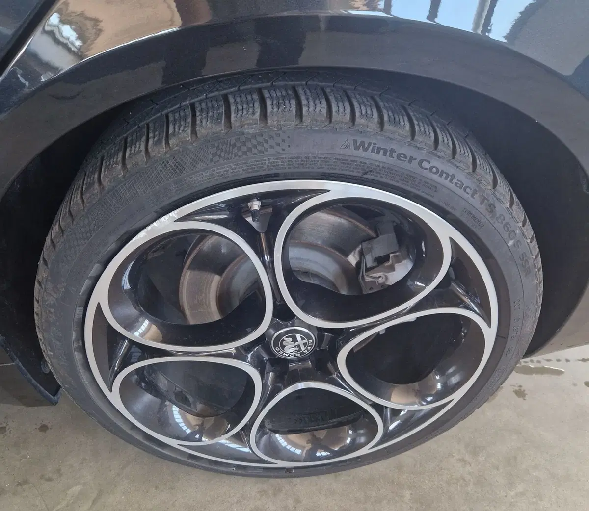 Alfa Romeo Giulia usata a Terni (16)