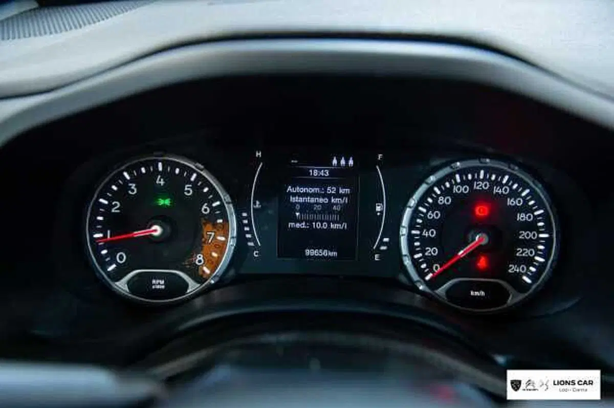 Jeep Renegade usata a Lodi (16)