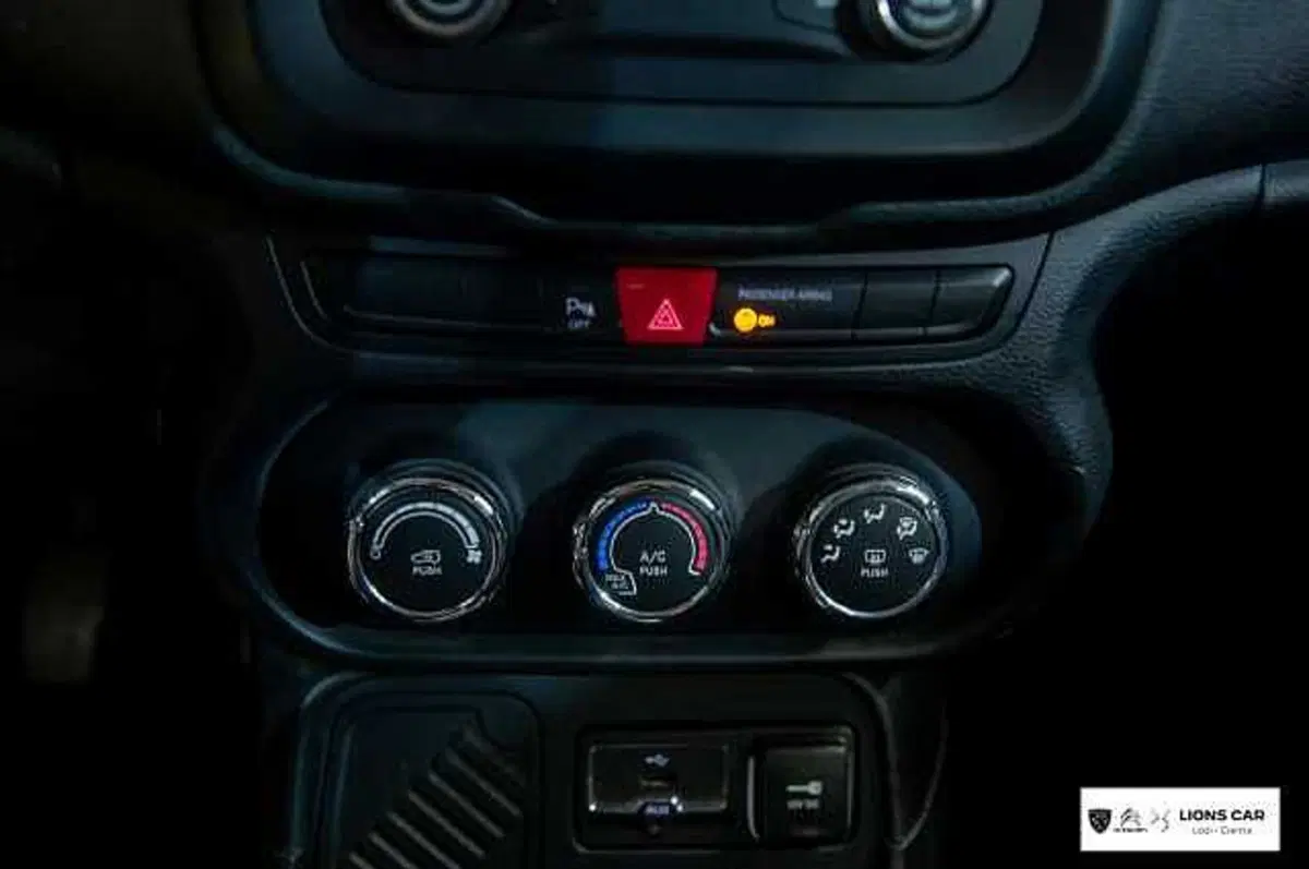 Jeep Renegade usata a Lodi (19)