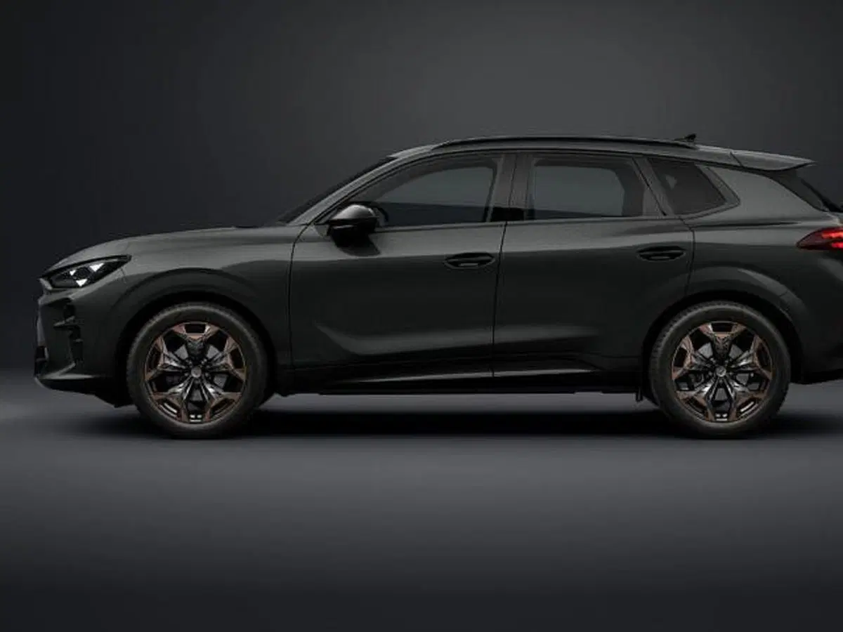 Cupra Terramar nuova a Vicenza (2)