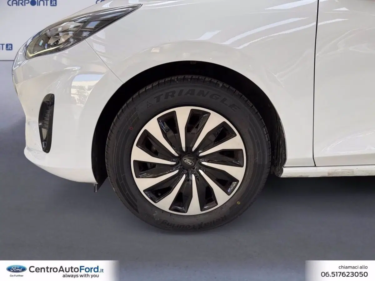 Ford Fiesta usata a Roma (14)