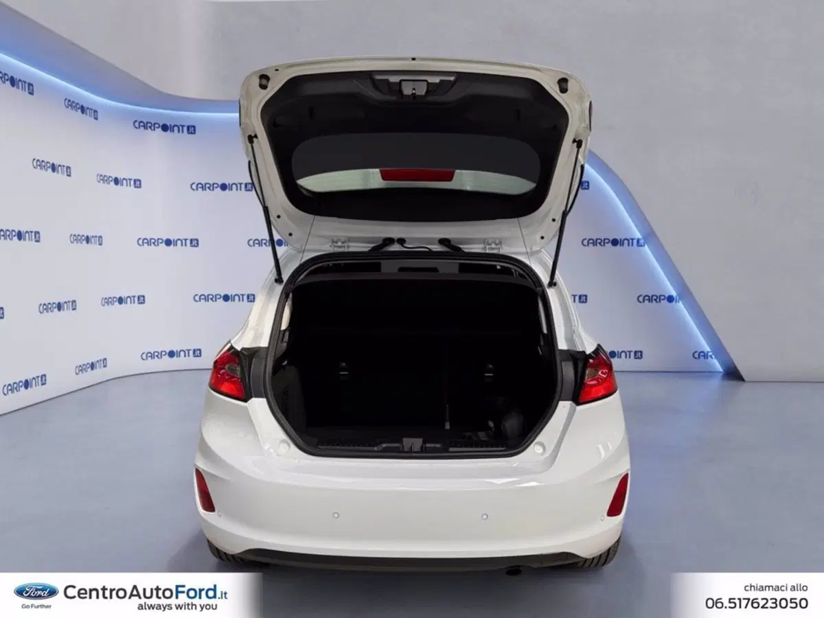 Ford Fiesta usata a Roma (17)