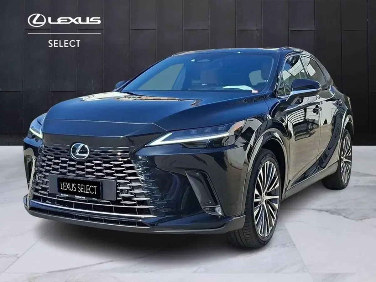 Lexus RX usata a Torino