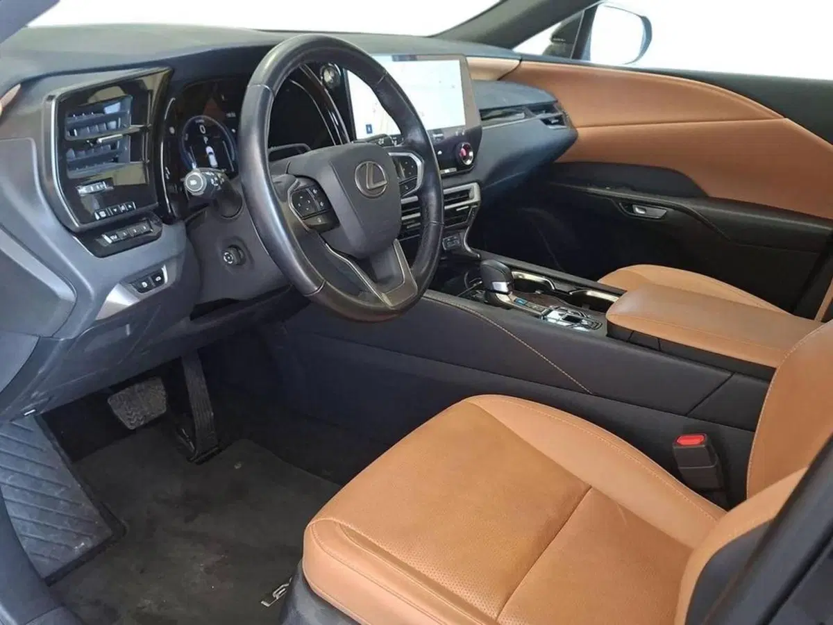 Lexus RX usata a Torino (12)