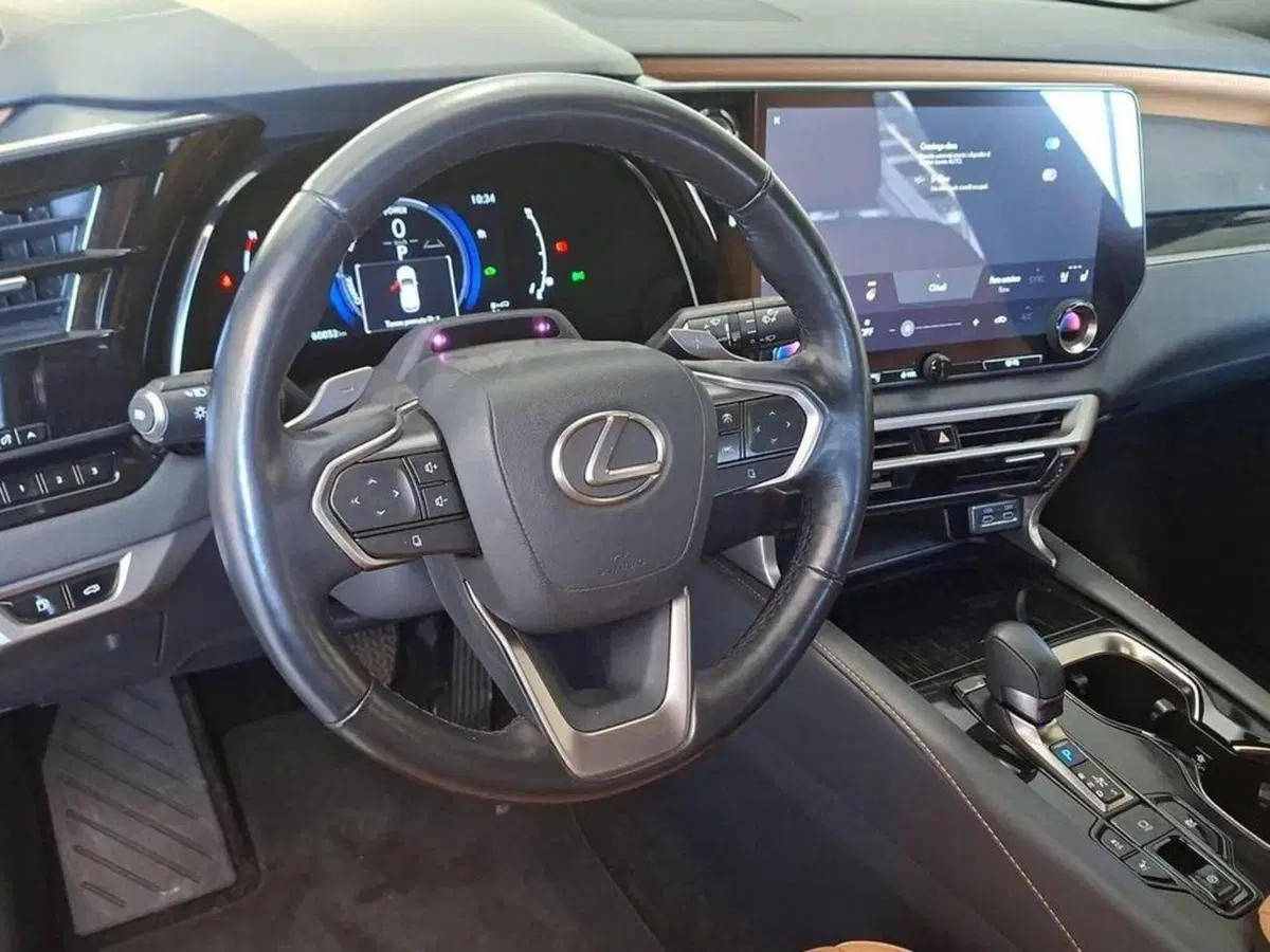 Lexus RX usata a Torino (13)