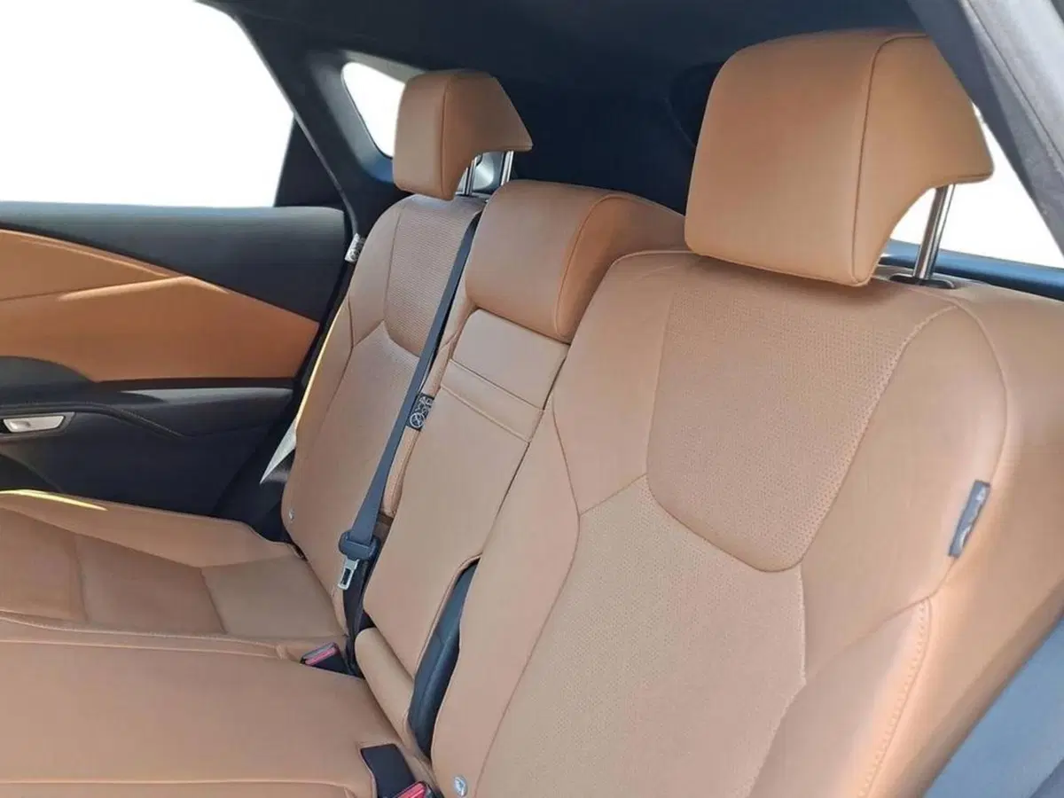 Lexus RX usata a Torino (14)