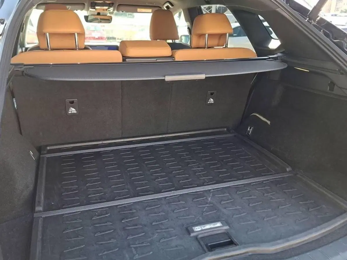 Lexus RX usata a Torino (15)