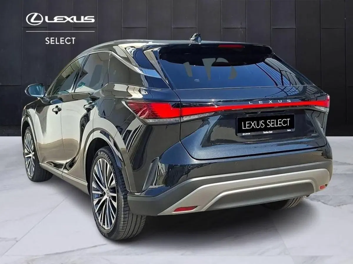 Lexus RX usata a Torino (3)