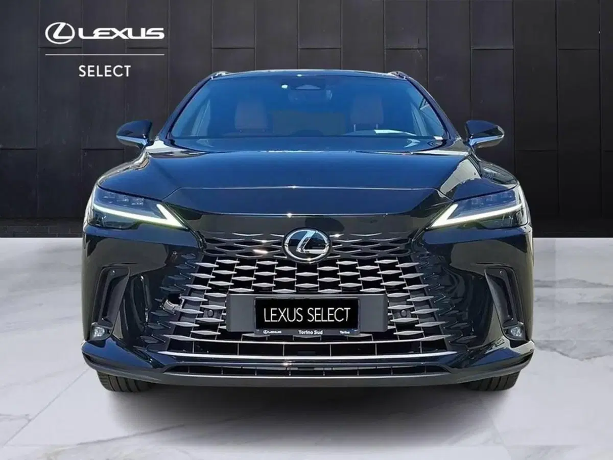 Lexus RX usata a Torino (4)
